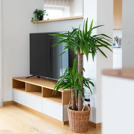 Apartment Beautiful New 3br In Great Location Tallinn